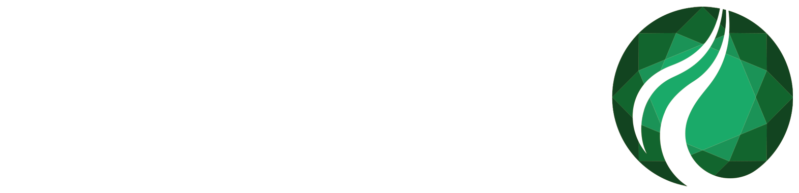 Jadestone Energy (Lemang) Pte. Ltd. Logo